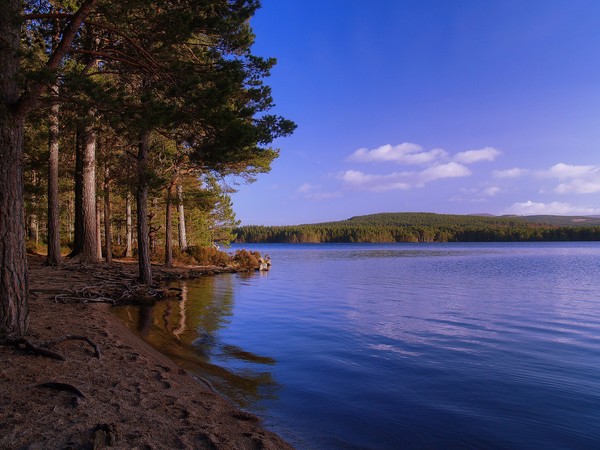 Loch Garten