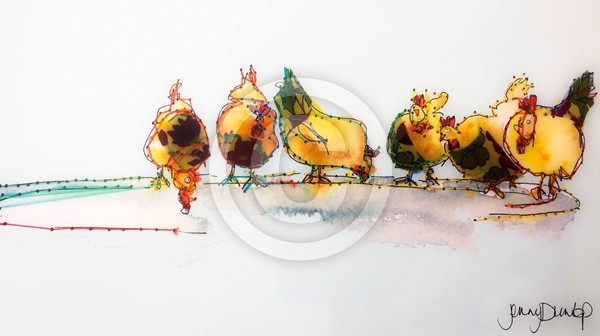 chickens