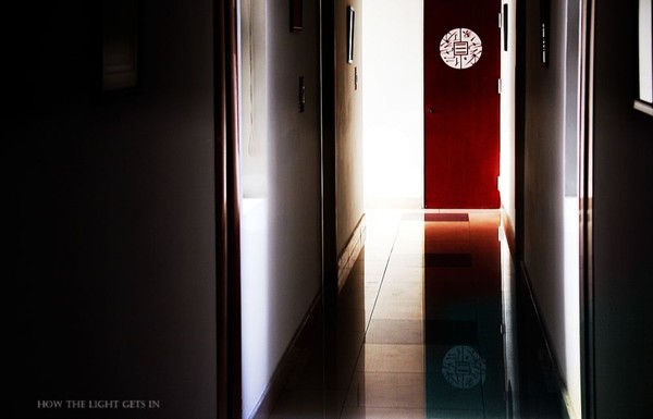 how the light gets in
