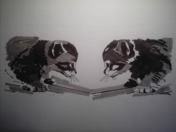 Stare Down