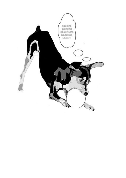 Dogs at Play