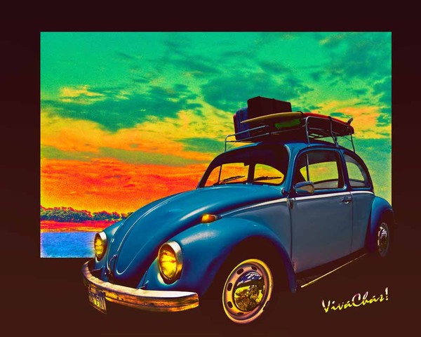 VW Surf Rod