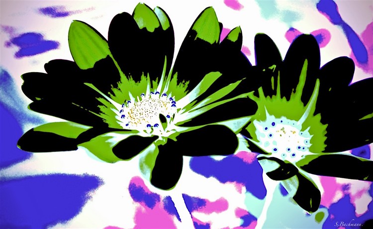 Colours combination !