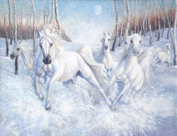 snow runners - a group of galloping white horses