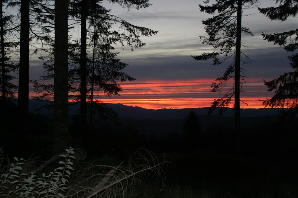 November Sunset