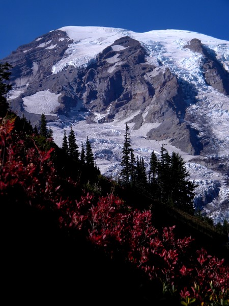 Autumn at Rainier