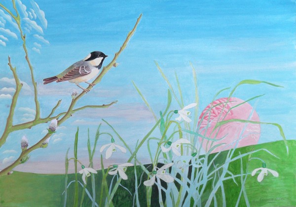 Coal Tit and Snowdrops at Dawn