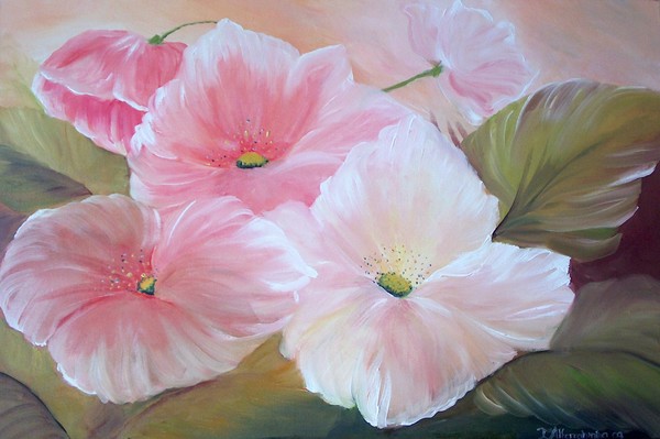 poppies