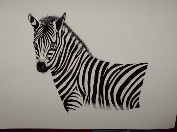 Zebra