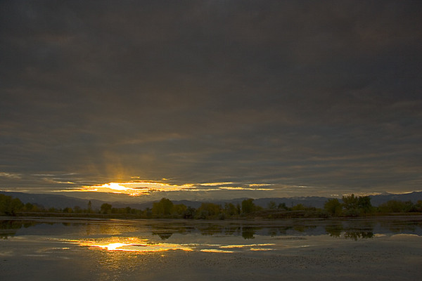 Golden Fall