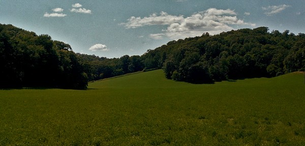 Summer hills