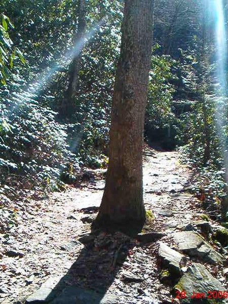 Standing Alone 