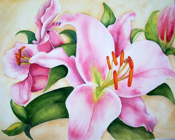 Pink Lillys # 149