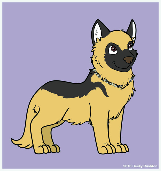 German Shepherd