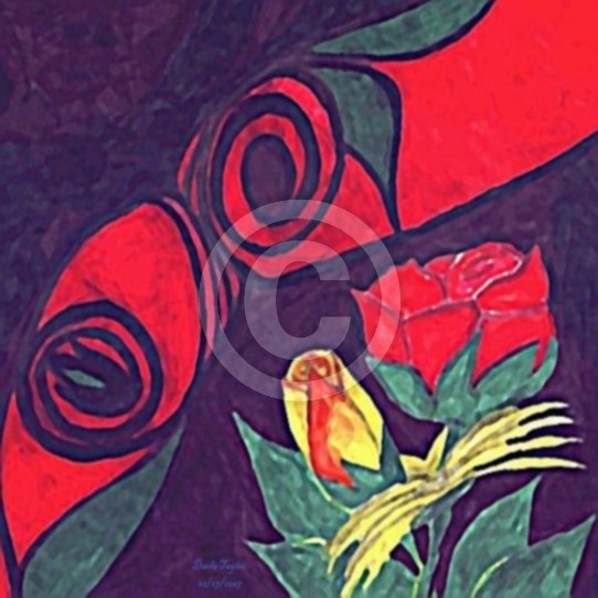 Reflection of the Rose