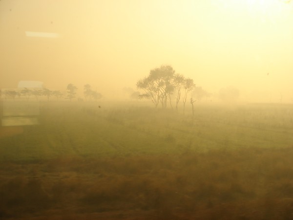 Sunshine Mist