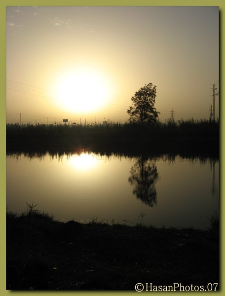 The sun, the nile and a tree