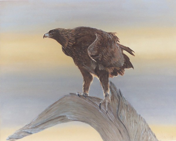 American Eagle