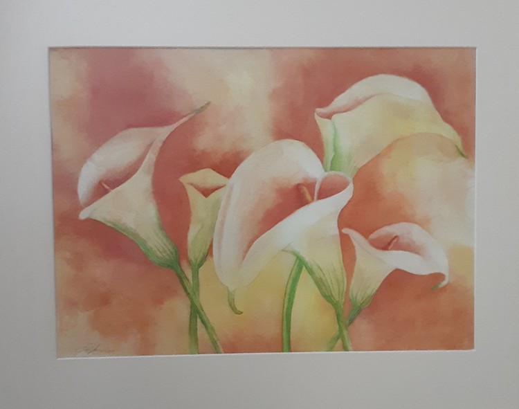 Lilies