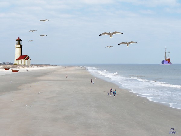 Beautiful Beach 1