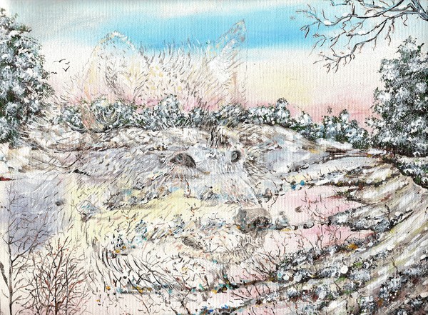 The wolf in winter