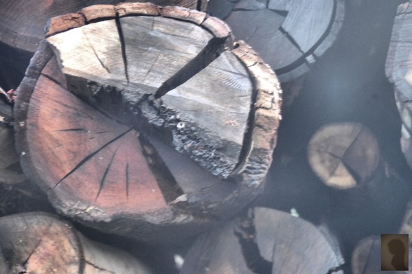 wood ...