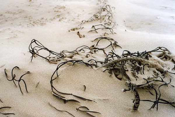 Seasand Composition
