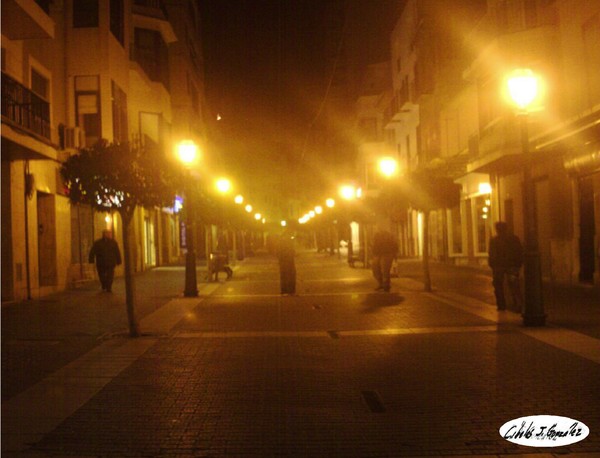 Nocturnal Inca