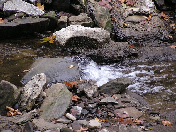 bubbling