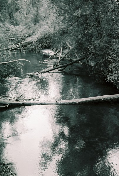 Blackwater River 2