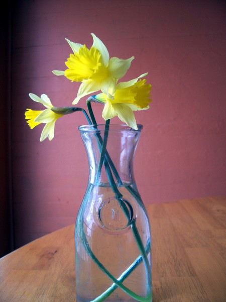 Trio Jaune-Yellow Trio. Photo.