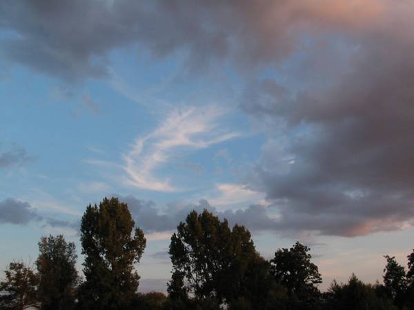 Dusk in the country 2