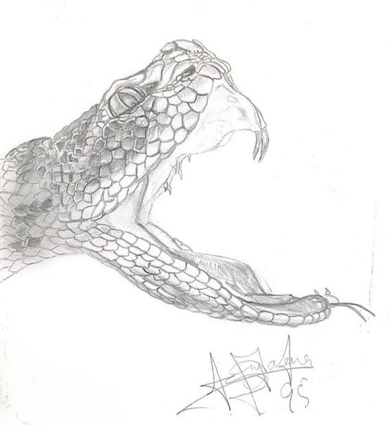 Viper