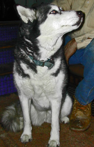 SKYE II