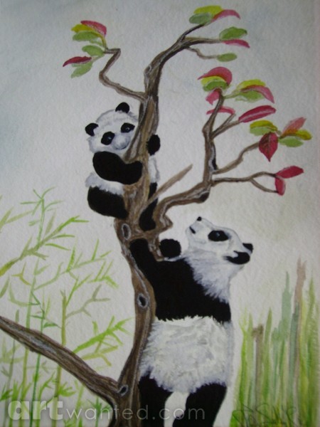 Panda's in tree