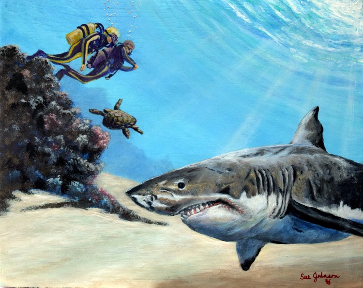Holy Shhhhhhhark!