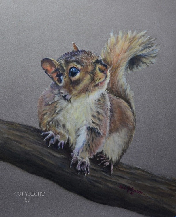OUT ON A LIMB