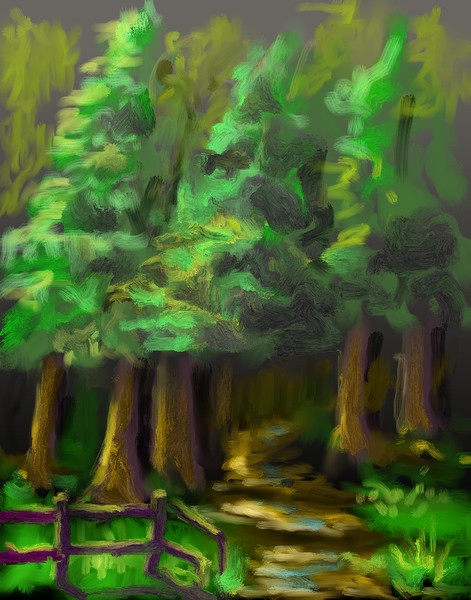 Looking deep into the forest