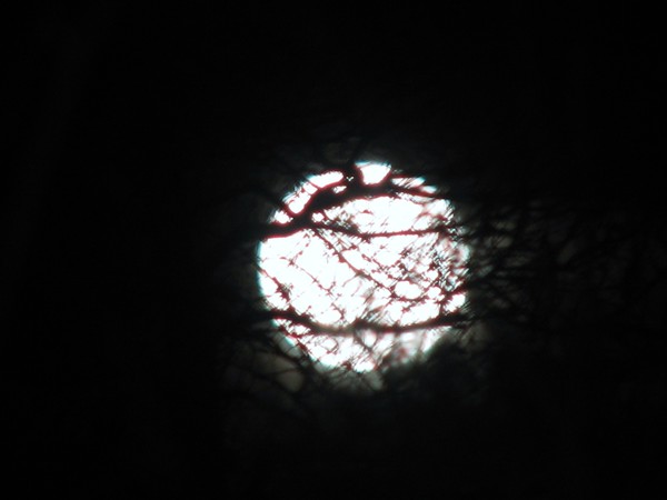 THE MOON SERIES2010