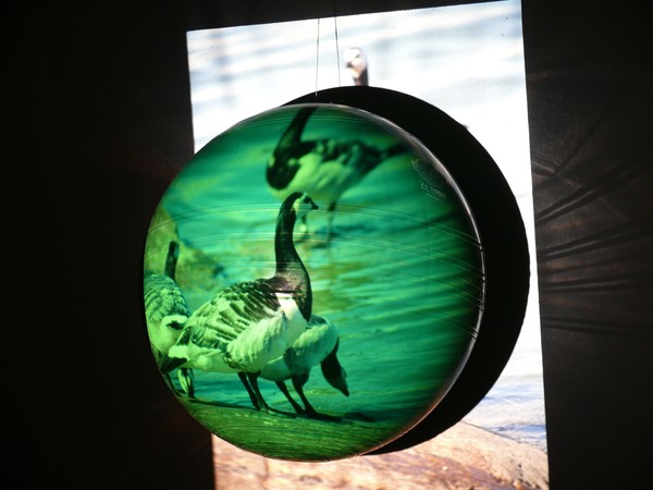 Green Globe 6.