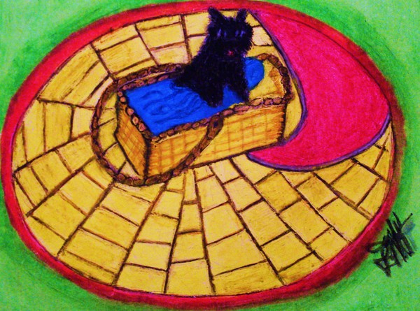 WIZARD OF OZ
