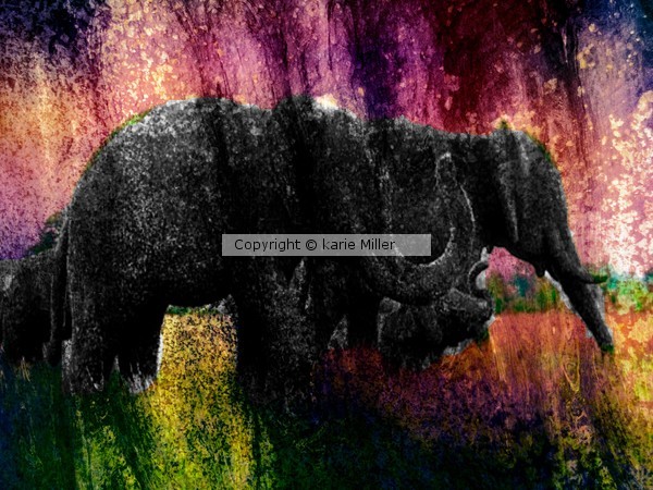 menagerie 1