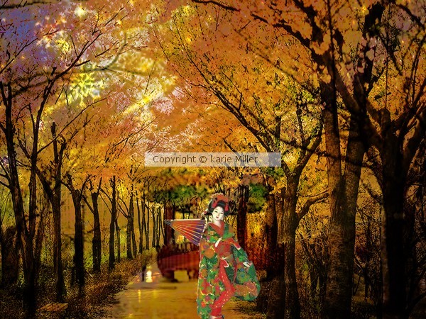 geisha 5