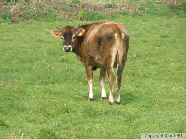You looking at me !!