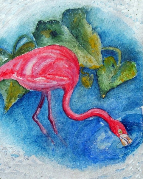 Pink Flamingo
