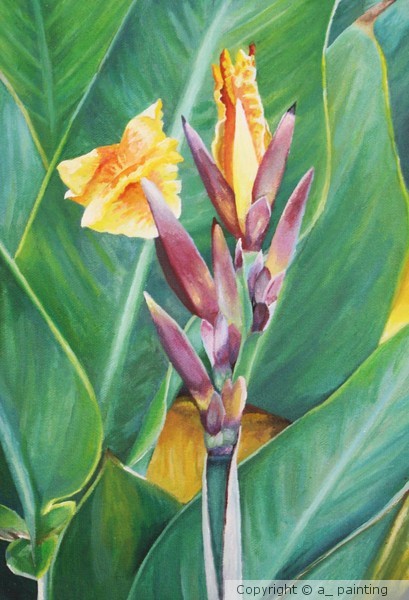 Blossoming Flower (2)