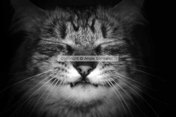 He Smiles Too