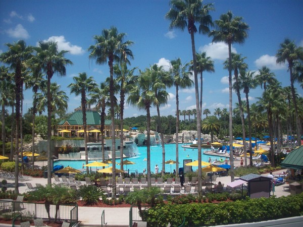 Tropical Oasis