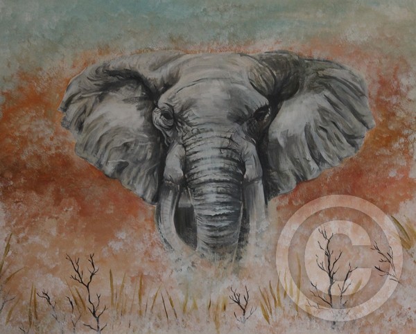 The Elephant - Spirit Animal