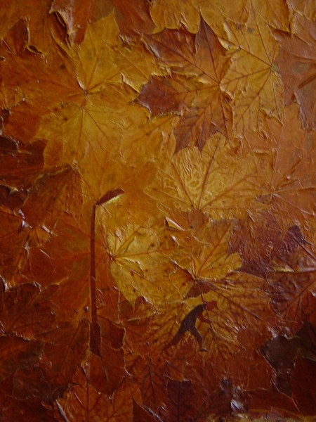 Autumn